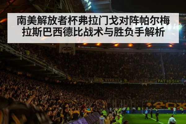 南美解放者杯弗拉门戈对阵帕尔梅拉斯巴西德比战术与胜负手解析