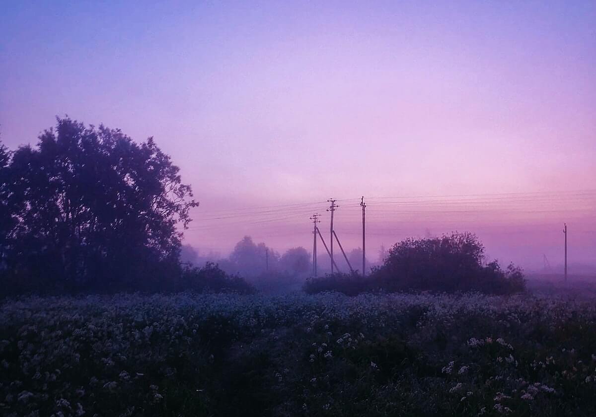 亚冠-布伦森27分阿努诺比24分 尼克斯轻取雄鹿